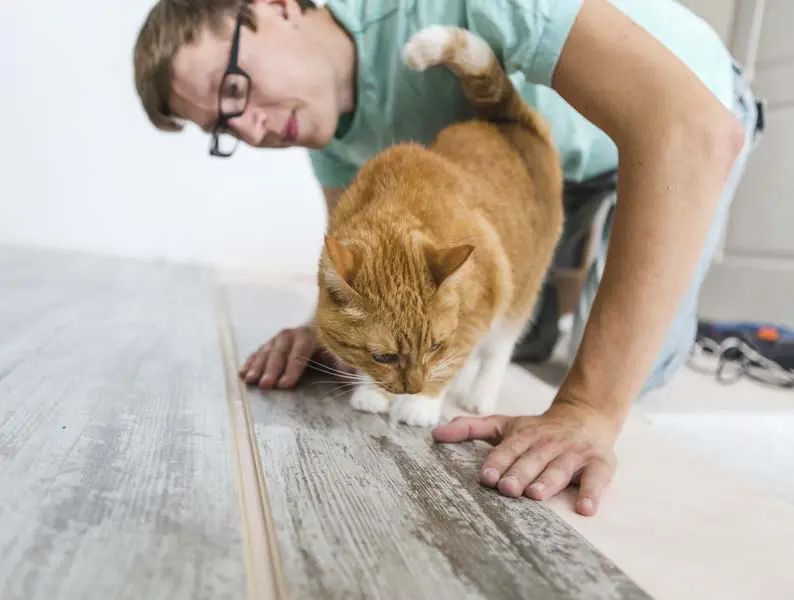 pet friendly flooring